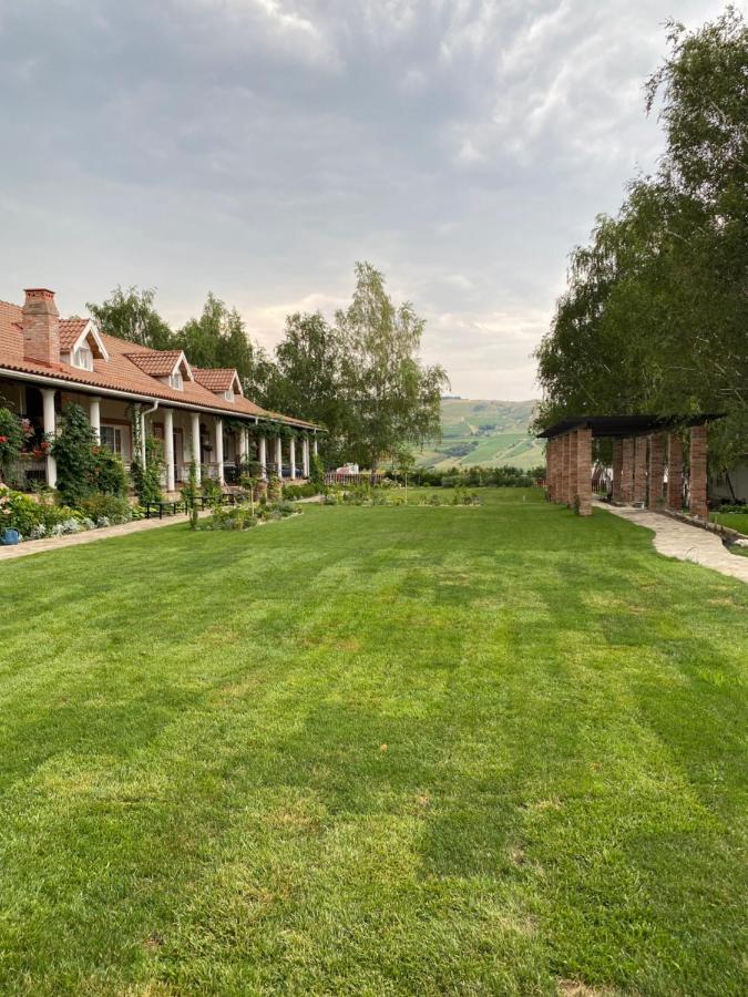 Country Club La Mesteceni Sebes  Ngoại thất bức ảnh
