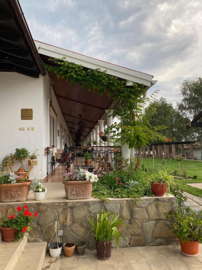 Country Club La Mesteceni Sebes  Ngoại thất bức ảnh